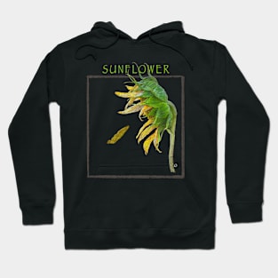 Sunset Hoodie